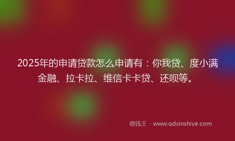 2025年的申请贷款怎么申请有：你我贷、度小满金融、拉卡拉、维信卡卡贷、还呗等。