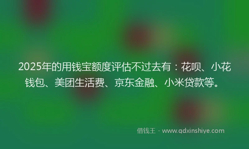 2025年的用钱宝额度评估不过去有：花呗、小花钱包、美团生活费、京东金融、小米贷款等。