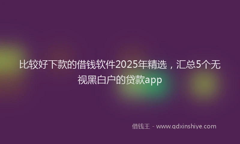 比较好下款的借钱软件2025年精选，汇总5个无视黑白户的贷款app