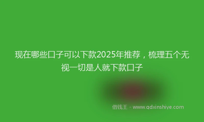现在哪些口子可以下款2025年推荐，梳理五个无视一切是人就下款口子