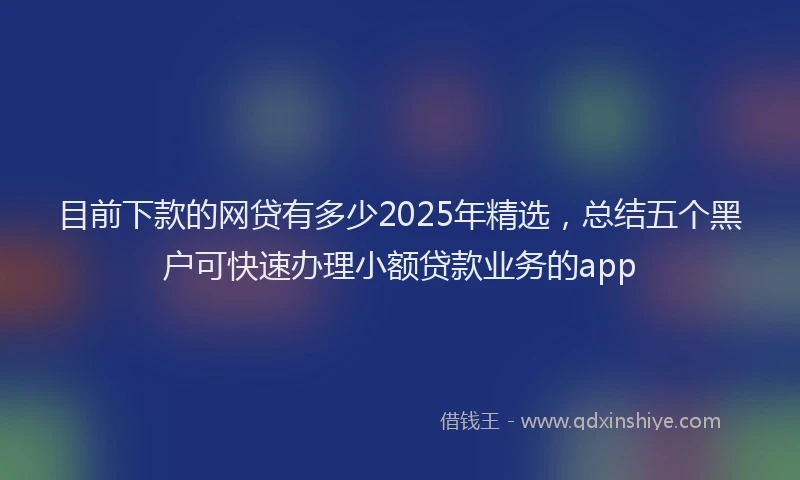 目前下款的网贷有多少2025年精选，总结五个黑户可快速办理小额贷款业务的app