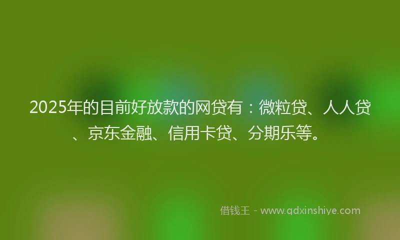 2025年的目前好放款的网贷有：微粒贷、人人贷、京东金融、信用卡贷、分期乐等。