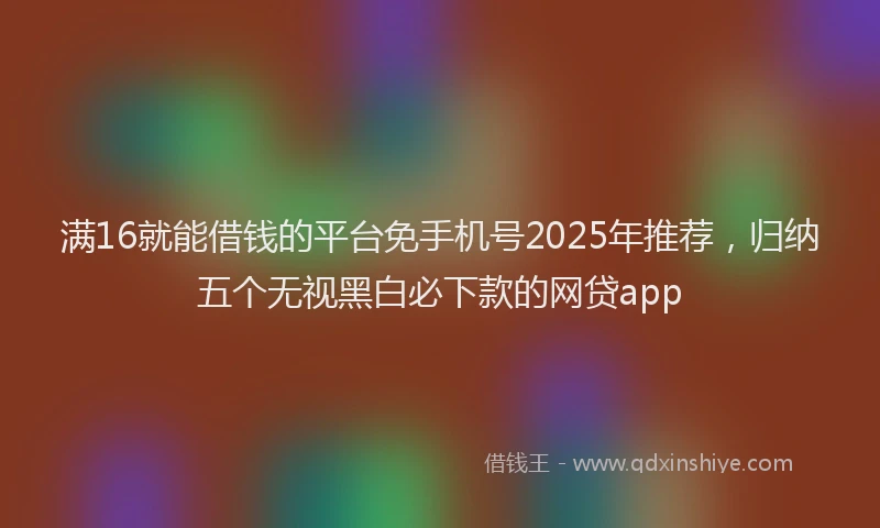 满16就能借钱的平台免手机号2025年推荐，归纳五个无视黑白必下款的网贷app