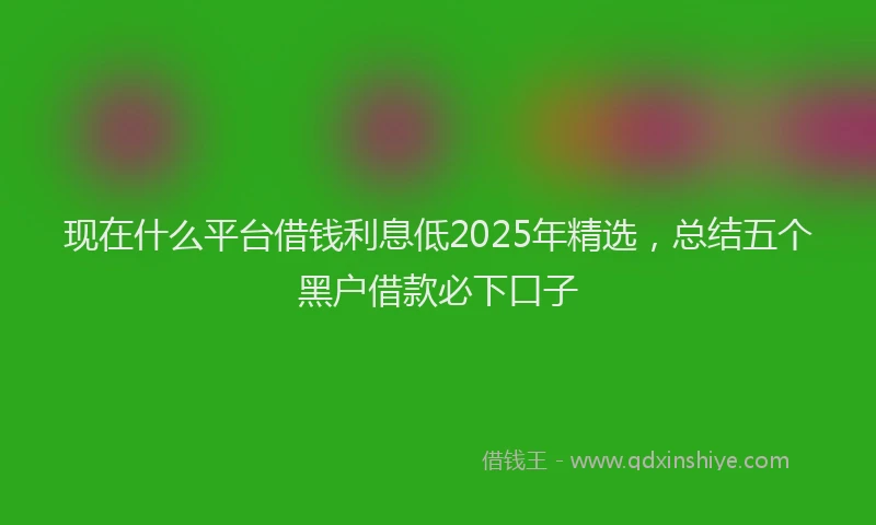 现在什么平台借钱利息低2025年精选，总结五个黑户借款必下口子