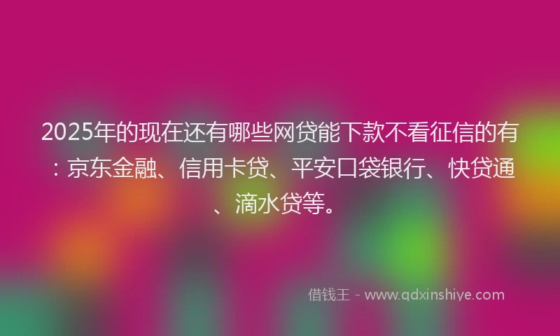 2025年的现在还有哪些网贷能下款不看征信的有：京东金融、信用卡贷、平安口袋银行、快贷通、滴水贷等。