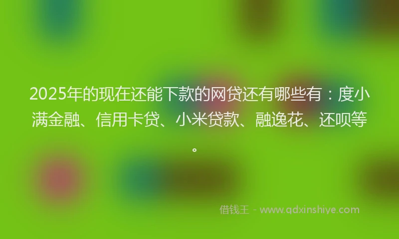 2025年的现在还能下款的网贷还有哪些有：度小满金融、信用卡贷、小米贷款、融逸花、还呗等。