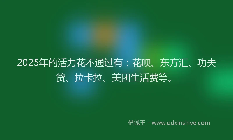 2025年的活力花不通过有：花呗、东方汇、功夫贷、拉卡拉、美团生活费等。