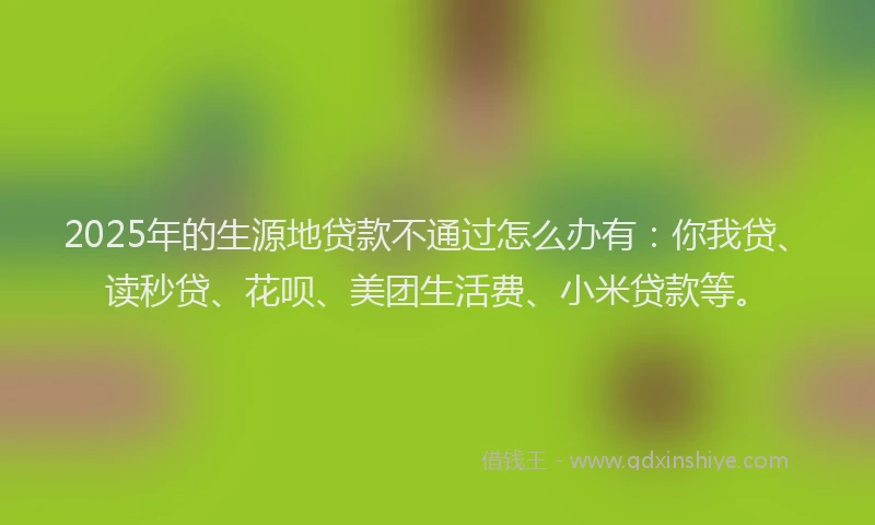2025年的生源地贷款不通过怎么办有：你我贷、读秒贷、花呗、美团生活费、小米贷款等。