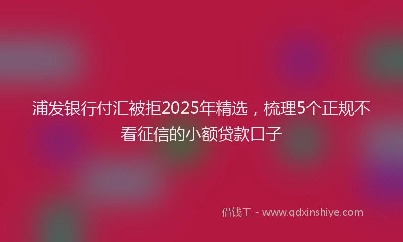 浦发银行付汇被拒2025年精选，梳理5个正规不看征信的小额贷款口子