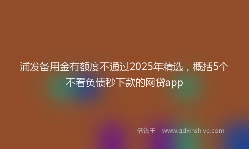 浦发备用金有额度不通过2025年精选，概括5个不看负债秒下款的网贷app