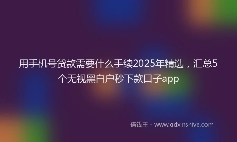 用手机号贷款需要什么手续2025年精选，汇总5个无视黑白户秒下款口子app