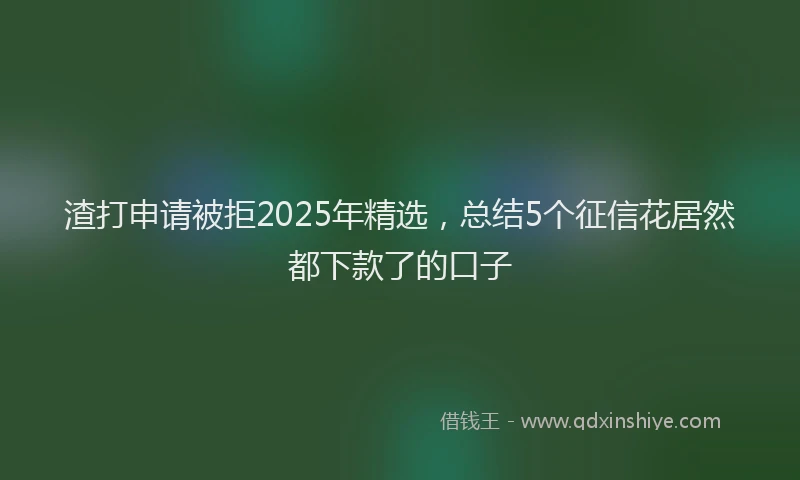渣打申请被拒2025年精选，总结5个征信花居然都下款了的口子