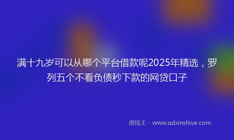 满十九岁可以从哪个平台借款呢2025年精选，罗列五个不看负债秒下款的网贷口子