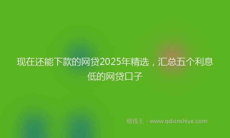 现在还能下款的网贷2025年精选，汇总五个利息低的网贷口子
