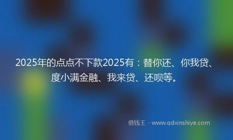 2025年的点点不下款2025有：替你还、你我贷、度小满金融、我来贷、还呗等。