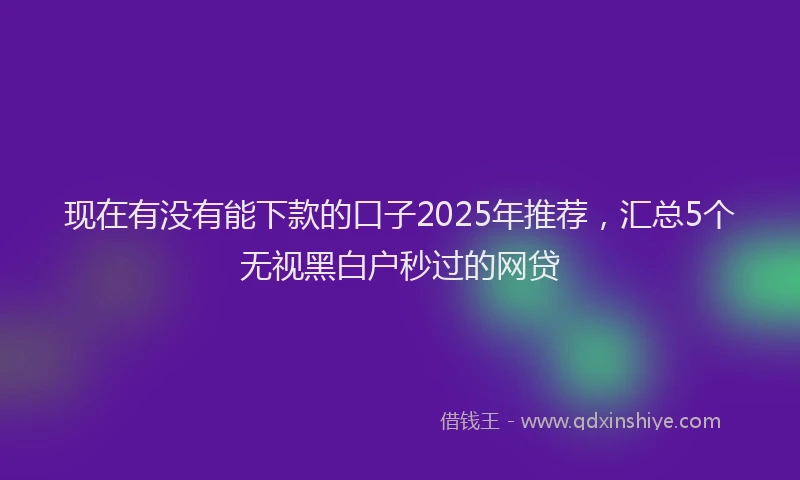 现在有没有能下款的口子2025年推荐，汇总5个无视黑白户秒过的网贷