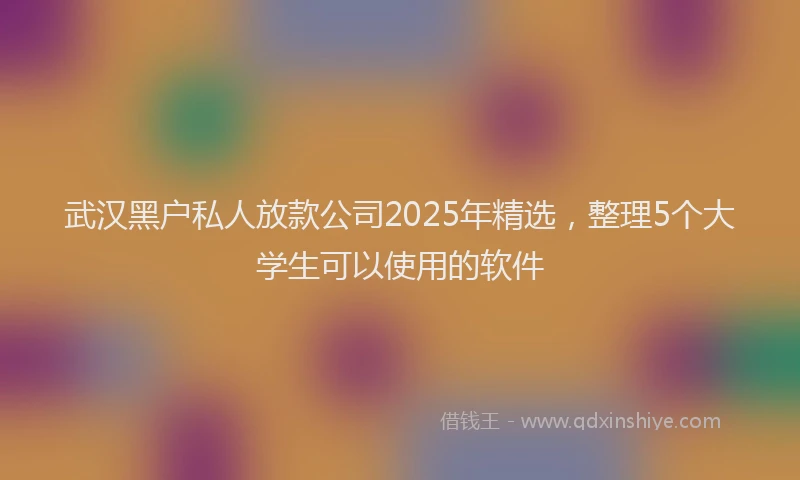 武汉黑户私人放款公司2025年精选，整理5个大学生可以使用的软件