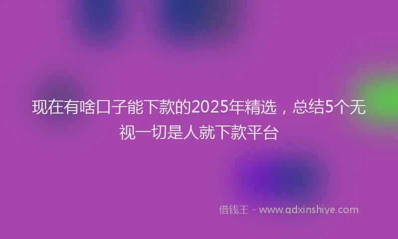 现在有啥口子能下款的2025年精选，总结5个无视一切是人就下款平台