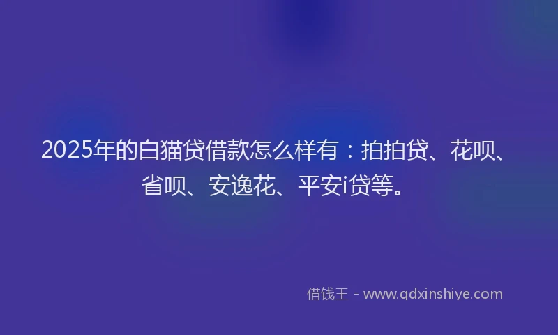 2025年的白猫贷借款怎么样有：拍拍贷、花呗、省呗、安逸花、平安i贷等。