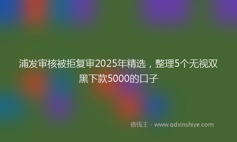 浦发审核被拒复审2025年精选，整理5个无视双黑下款5000的口子
