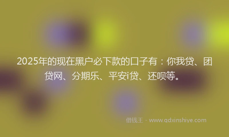 2025年的现在黑户必下款的口子有：你我贷、团贷网、分期乐、平安i贷、还呗等。