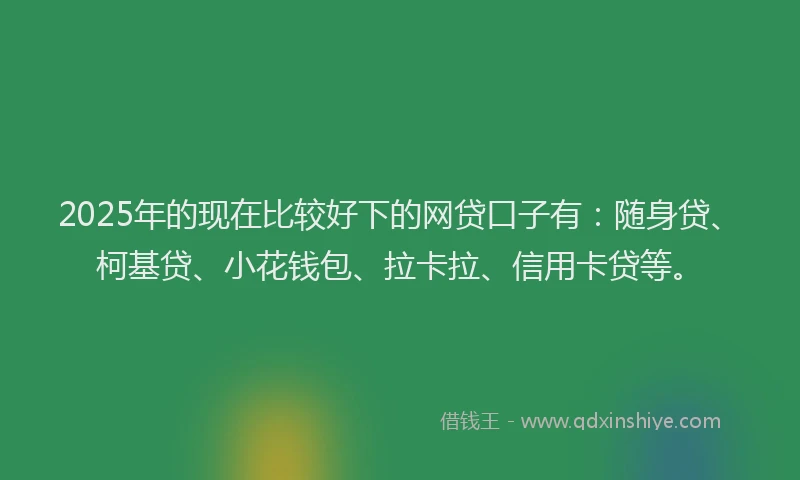 2025年的现在比较好下的网贷口子有：随身贷、柯基贷、小花钱包、拉卡拉、信用卡贷等。