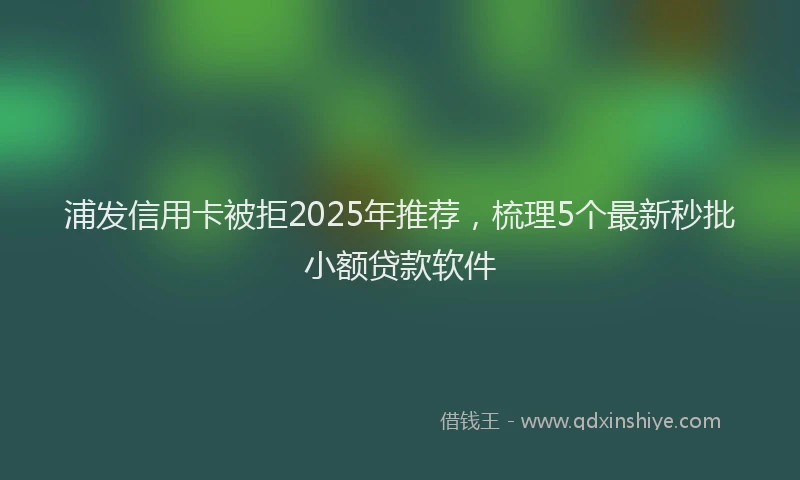 浦发信用卡被拒2025年推荐，梳理5个最新秒批小额贷款软件