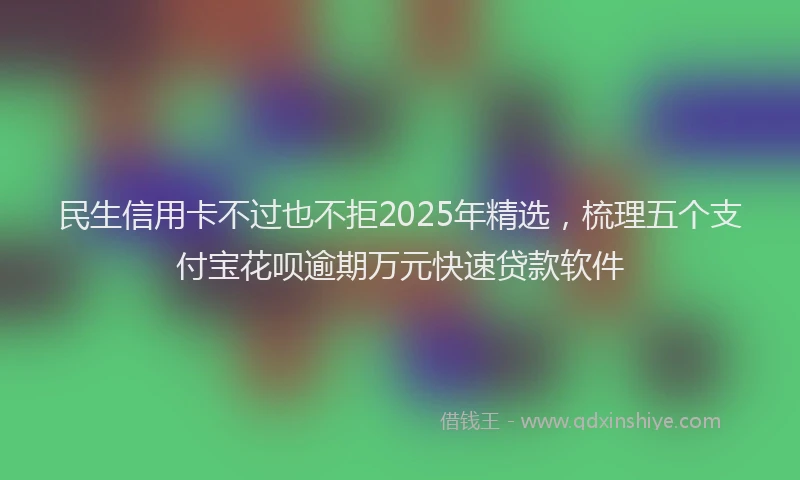民生信用卡不过也不拒2025年精选，梳理五个支付宝花呗逾期万元快速贷款软件