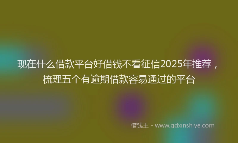 现在什么借款平台好借钱不看征信2025年推荐，梳理五个有逾期借款容易通过的平台