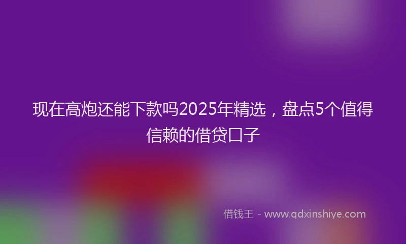 现在高炮还能下款吗2025年精选，盘点5个值得信赖的借贷口子