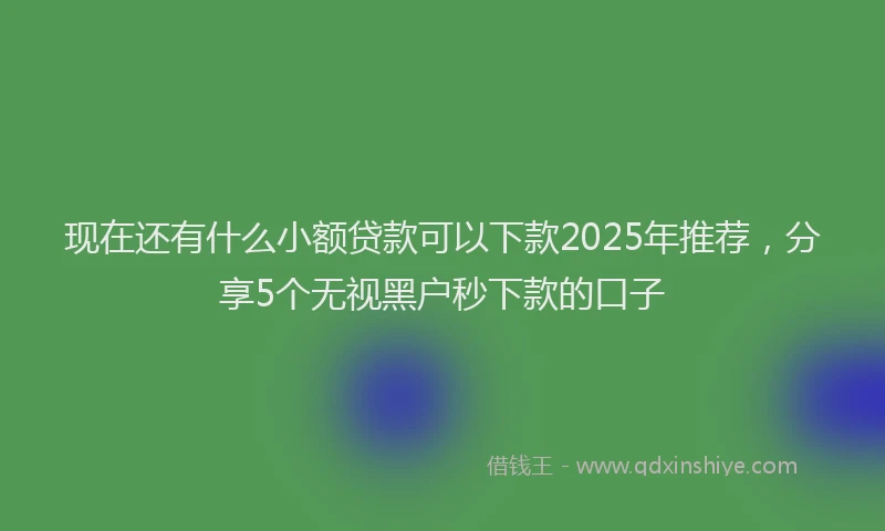 现在还有什么小额贷款可以下款2025年推荐，分享5个无视黑户秒下款的口子