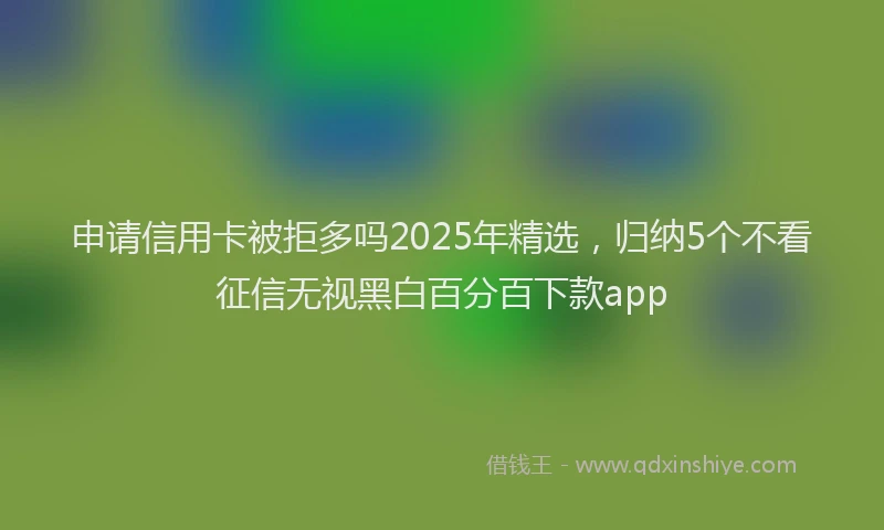 申请信用卡被拒多吗2025年精选，归纳5个不看征信无视黑白百分百下款app