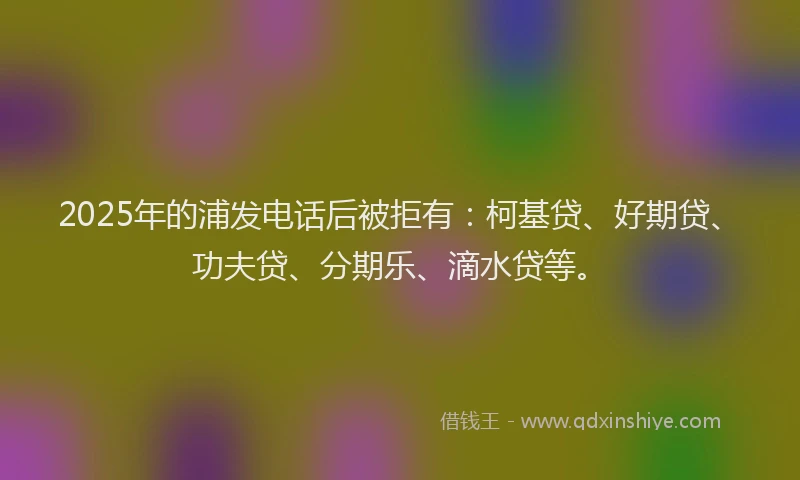 2025年的浦发电话后被拒有：柯基贷、好期贷、功夫贷、分期乐、滴水贷等。