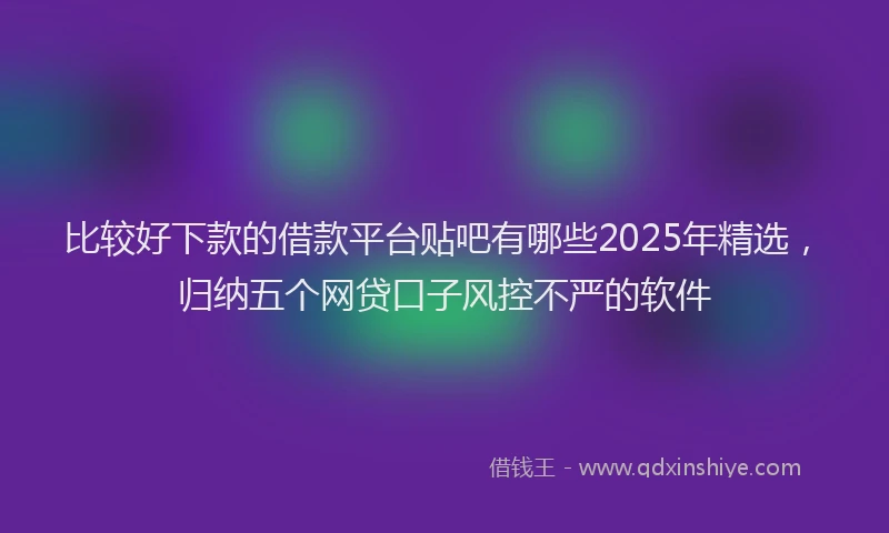 比较好下款的借款平台贴吧有哪些2025年精选，归纳五个网贷口子风控不严的软件
