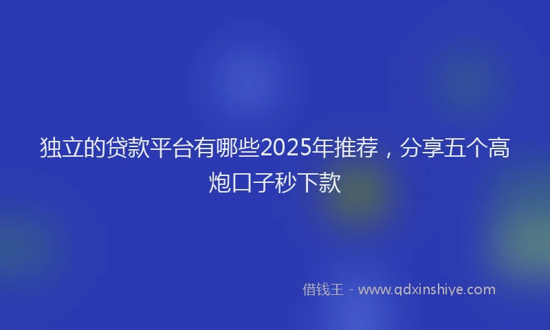 独立的贷款平台有哪些2025年推荐，分享五个高炮口子秒下款