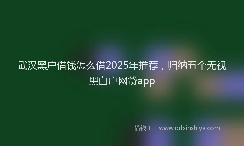 武汉黑户借钱怎么借2025年推荐，归纳五个无视黑白户网贷app