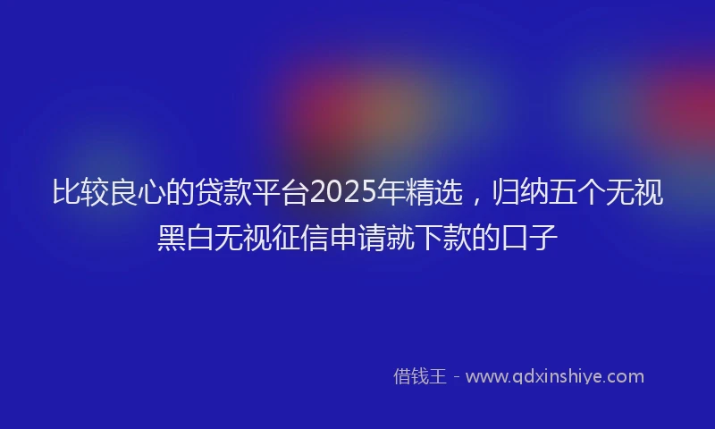 比较良心的贷款平台2025年精选，归纳五个无视黑白无视征信申请就下款的口子