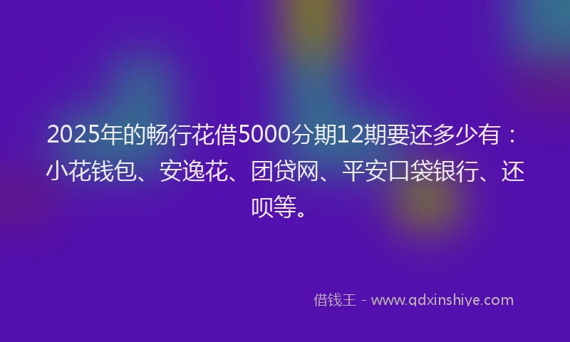 2025年的畅行花借5000分期12期要还多少有：小花钱包、安逸花、团贷网、平安口袋银行、还呗等。