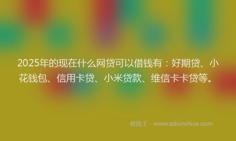 2025年的现在什么网贷可以借钱有：好期贷、小花钱包、信用卡贷、小米贷款、维信卡卡贷等。