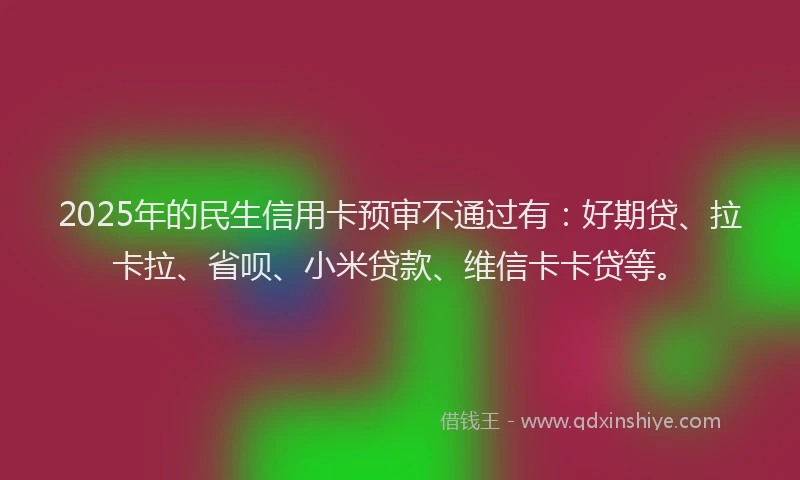 2025年的民生信用卡预审不通过有：好期贷、拉卡拉、省呗、小米贷款、维信卡卡贷等。
