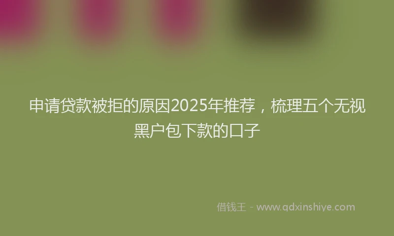 申请贷款被拒的原因2025年推荐，梳理五个无视黑户包下款的口子