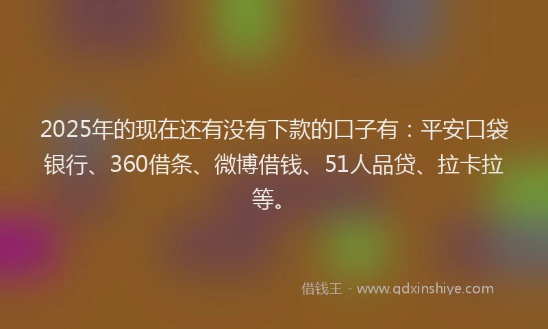 2025年的现在还有没有下款的口子有：平安口袋银行、360借条、微博借钱、51人品贷、拉卡拉等。