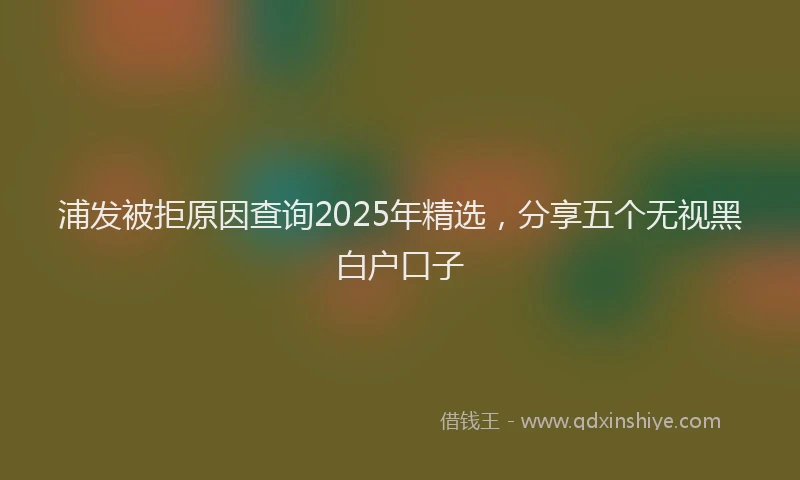 浦发被拒原因查询2025年精选，分享五个无视黑白户口子
