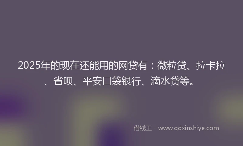 2025年的现在还能用的网贷有：微粒贷、拉卡拉、省呗、平安口袋银行、滴水贷等。