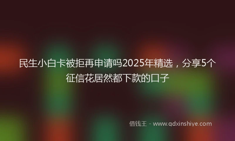 民生小白卡被拒再申请吗2025年精选，分享5个征信花居然都下款的口子