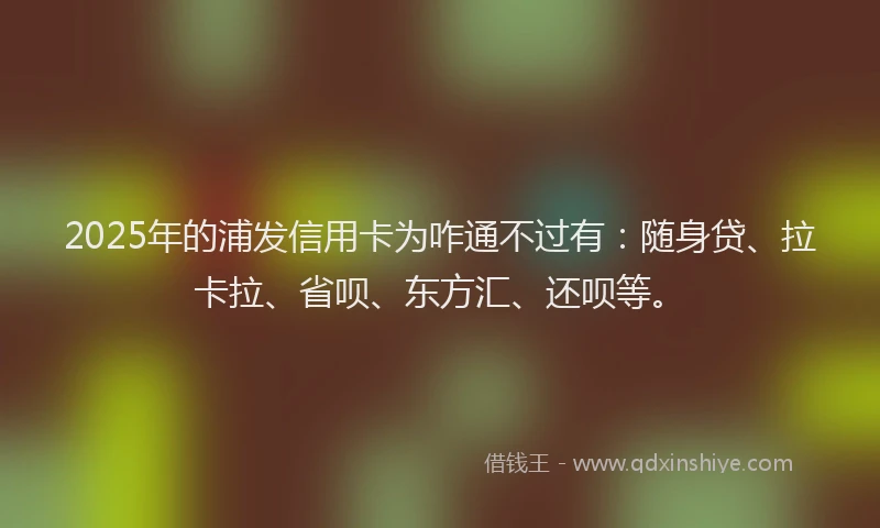 2025年的浦发信用卡为咋通不过有：随身贷、拉卡拉、省呗、东方汇、还呗等。