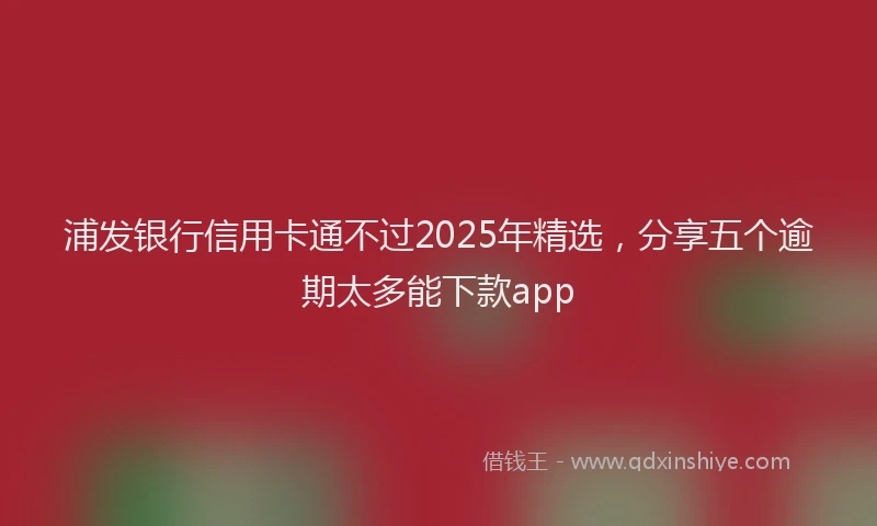 浦发银行信用卡通不过2025年精选，分享五个逾期太多能下款app