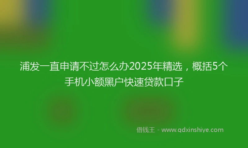 浦发一直申请不过怎么办2025年精选，概括5个手机小额黑户快速贷款口子