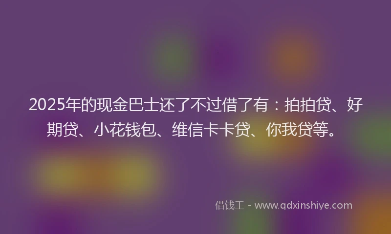 2025年的现金巴士还了不过借了有：拍拍贷、好期贷、小花钱包、维信卡卡贷、你我贷等。