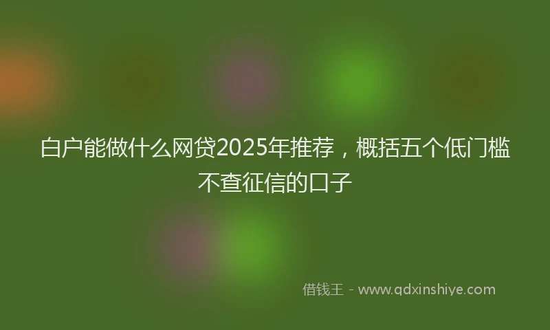 白户能做什么网贷2025年推荐，概括五个低门槛不查征信的口子